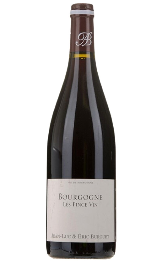 Вино Alain Burguet Bourgogne Les Pince Vin 2019