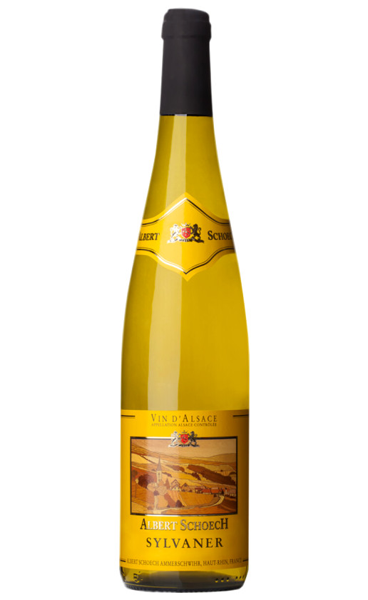 Wine Albert Schoech Sylvaner Alsace 2020