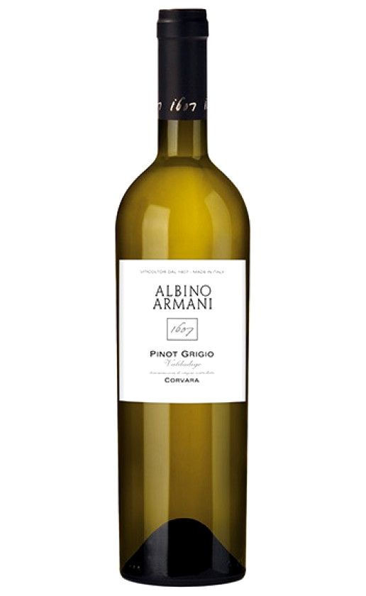 Wine Albino Armani Pinot Grigio Corvara Valdadige 2019