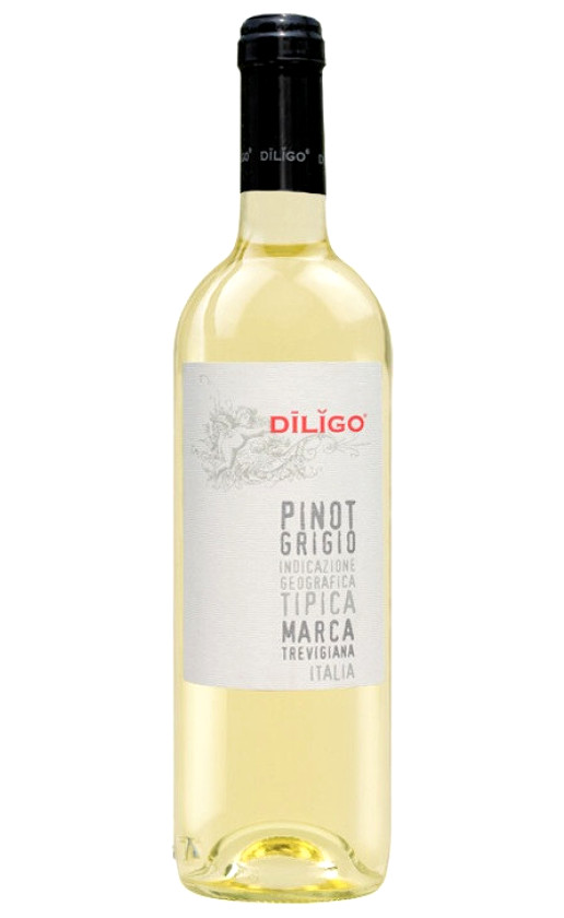 Wine Anna Spinato Pinot Grigio Diligo 2020