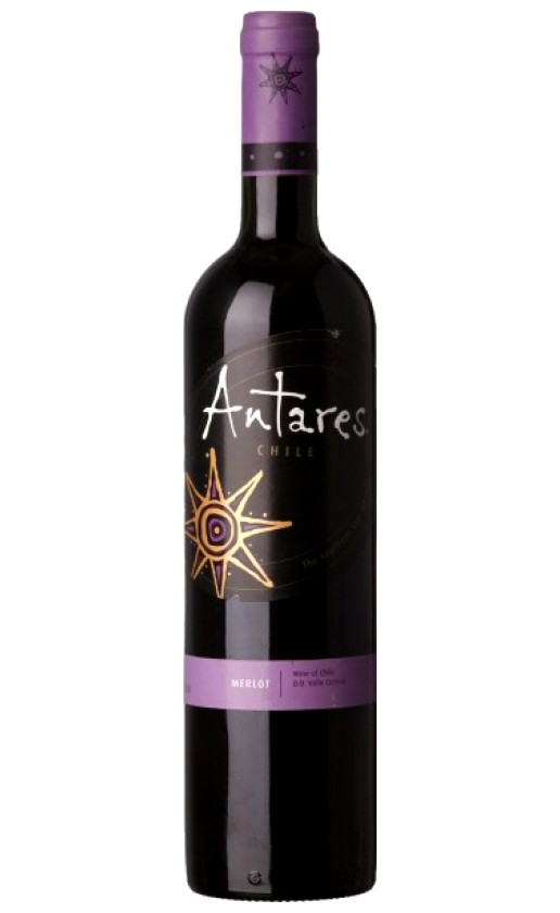 Wine Antares Merlot Central Valley