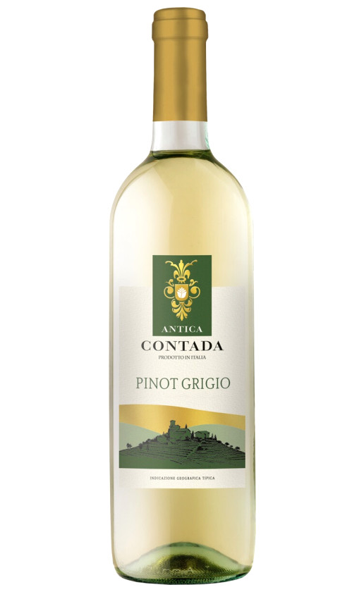 Wine Antica Contada Pinot Grigio Delle Venezie