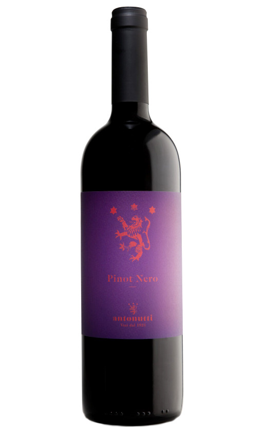 Wine Antonutti Pinot Nero Friuli Grave 2019
