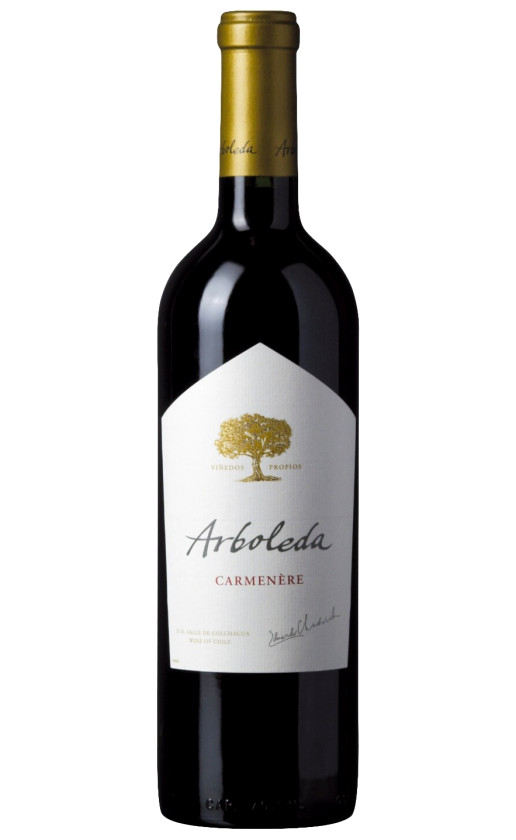 Wine Arboleda Carmenere 2019