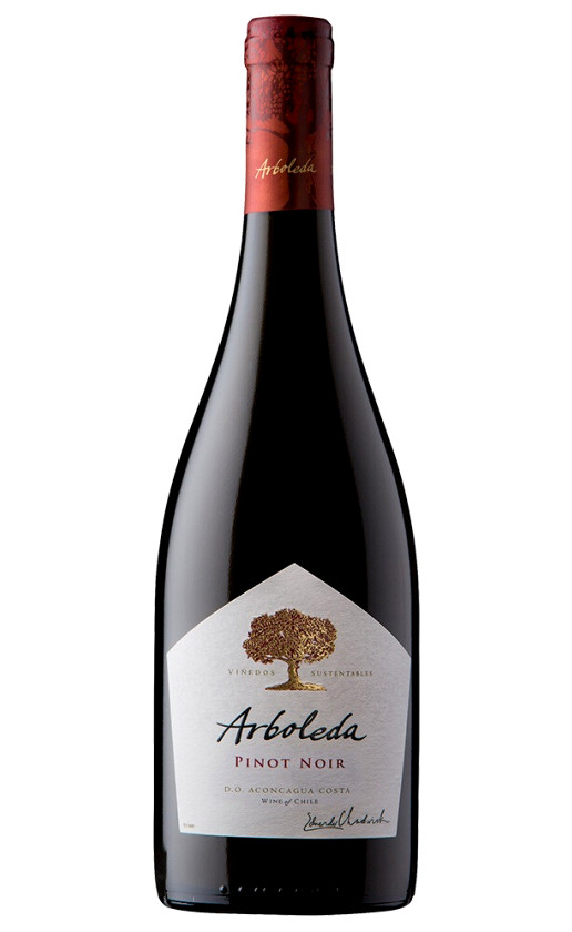 Вино Arboleda Pinot Noir 2020