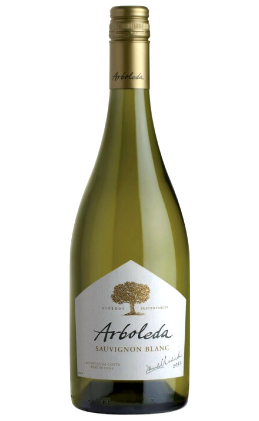 Вино Arboleda Sauvignon Blanc 2019