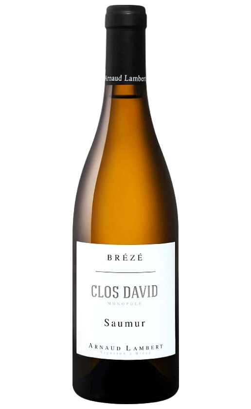 Wine Arnaud Lambert Clos David Monopole Saumur 2018