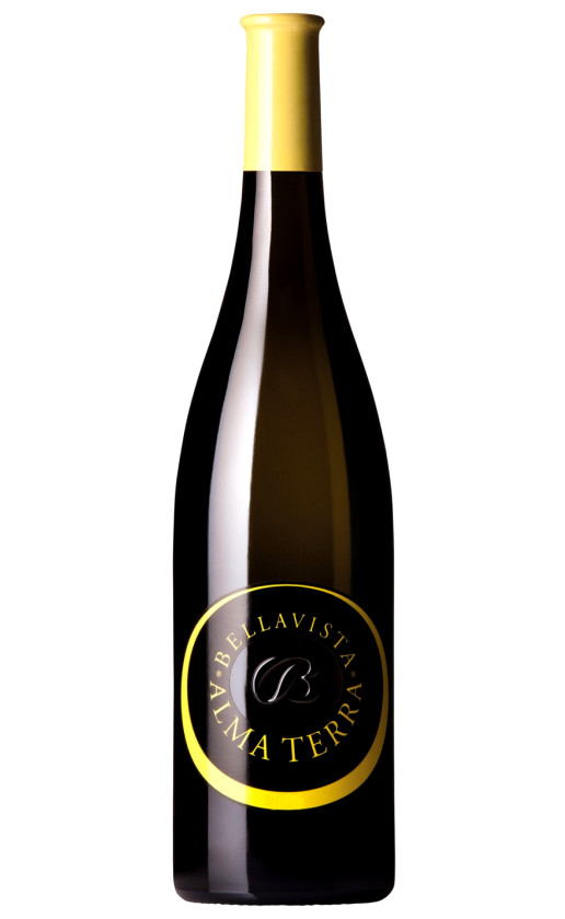 Wine Bellavista Alma Terra Curtefranca Bianco 2020