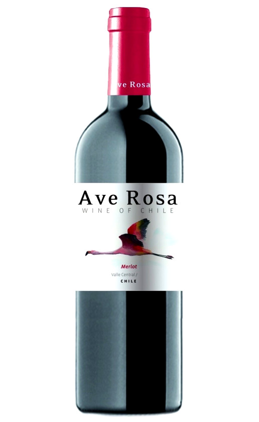 Wine Bodegas Y Vinedos De Aguirre Ave Rosa Merlot 2013