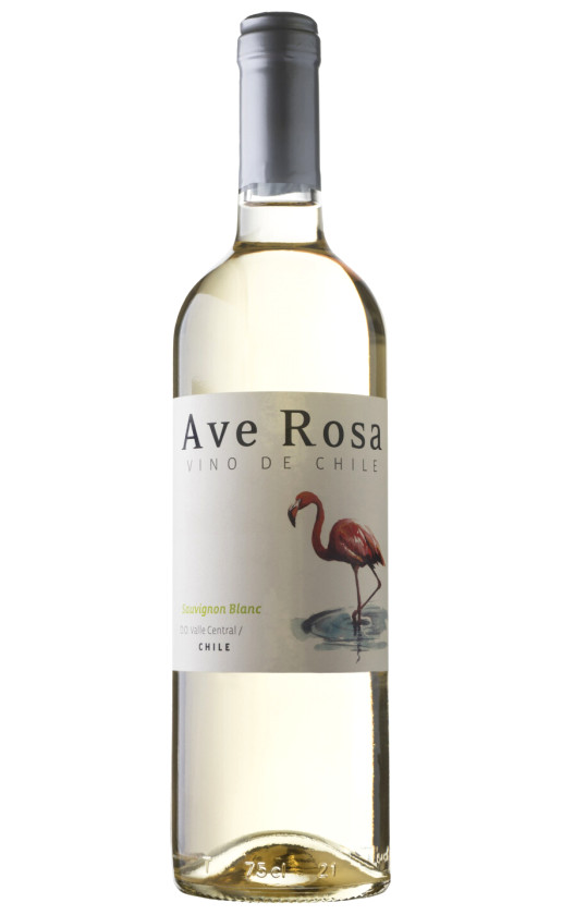 Wine Bodegas Y Vinedos De Aguirre Ave Rosa Sauvignon Blanc