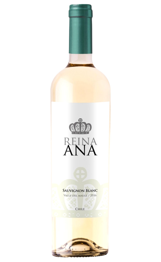 Wine Bodegas Y Vinedos De Aguirre Reina Ana Sauvignon Blanc Valle Del Maule 2016