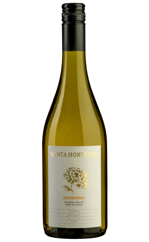 Wine Bodegas Y Vinedos De Aguirre Santa Hortensia Chardonnay Central Valley 2021