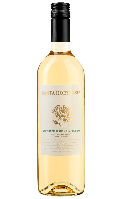Bodegas y Vinedos de Aguirre Santa Hortensia Sauvignon Blanc-Chardonnay Central Valley 2019
