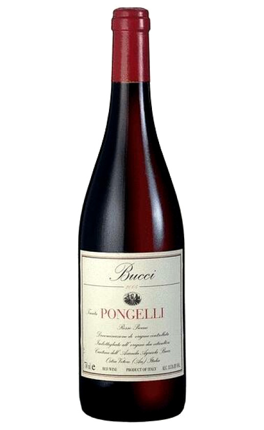 Wine Bucci Tenuta Pongelli Rosso Piceno 2008