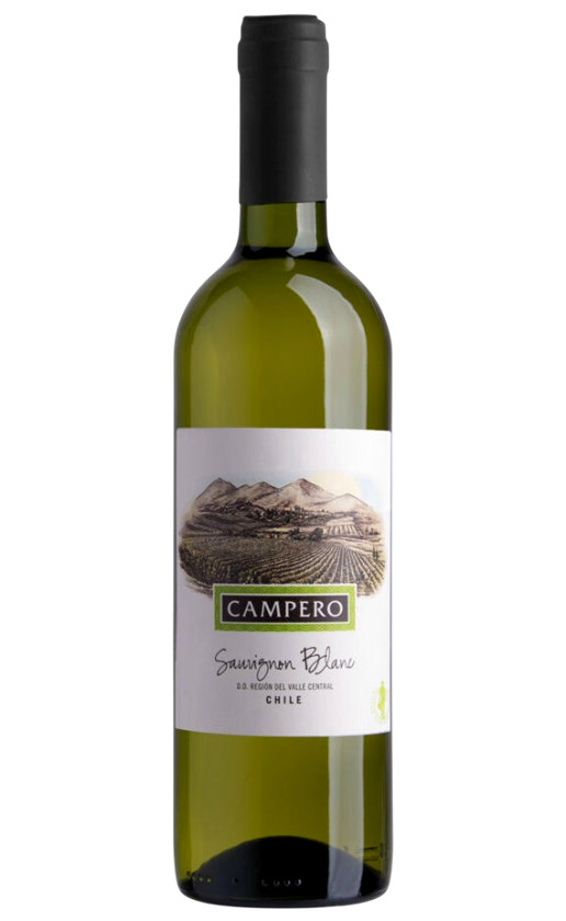 Wine Campero Sauvignon Blanc