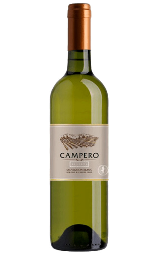 Wine Campero Sauvignon Blanc Reserva