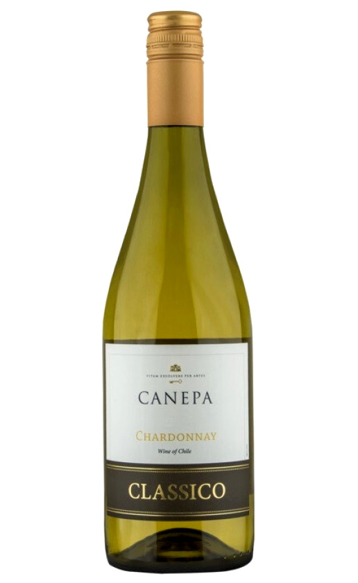 Wine Canepa Classico Chardonnay