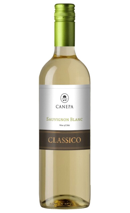 Wine Canepa Classico Sauvignon Blanc
