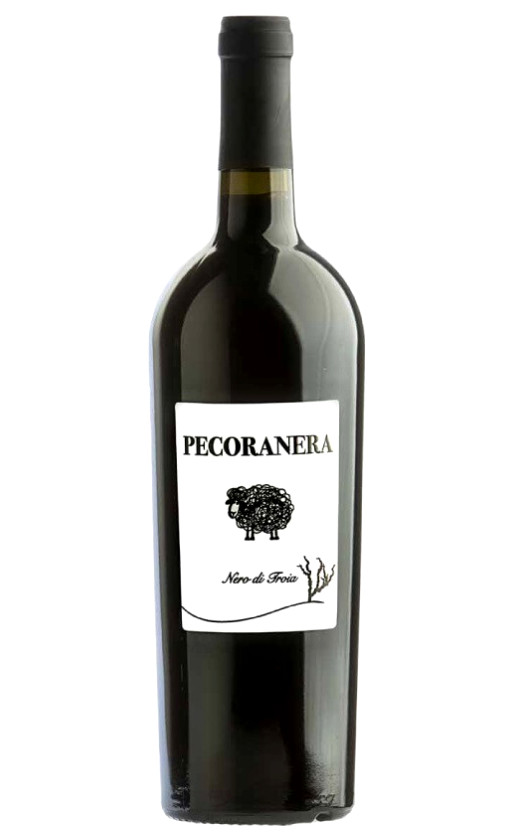 Wine Cantine Risveglio Pecoranera Nero Di Troia Puglia 2019