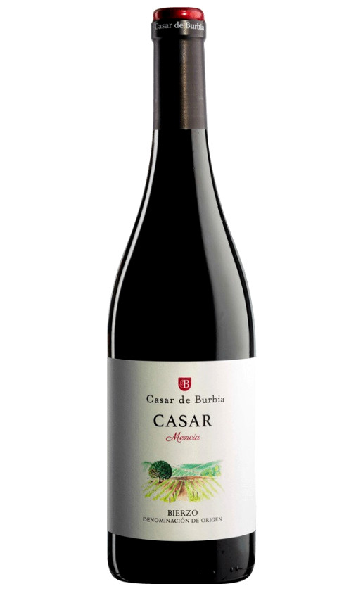 Wine Casar Mencia Bierzo 2016