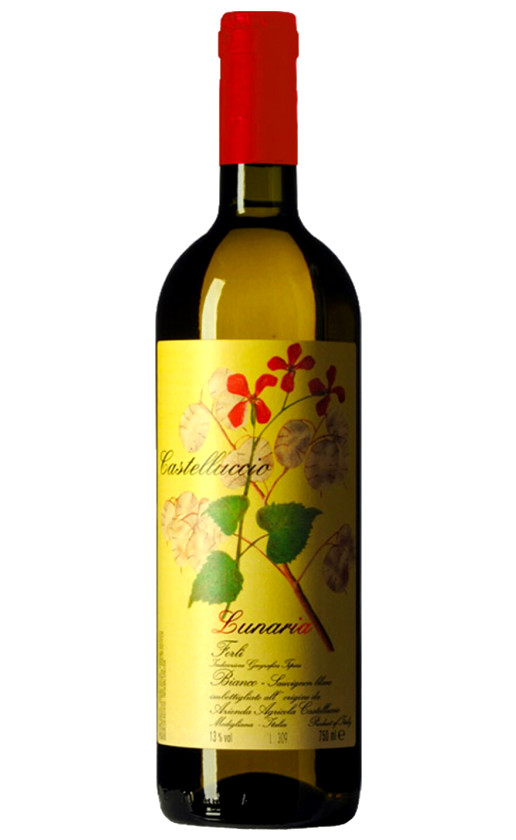 Wine Castelluccio Lunaria Sauvignon Blanc Forli 2017