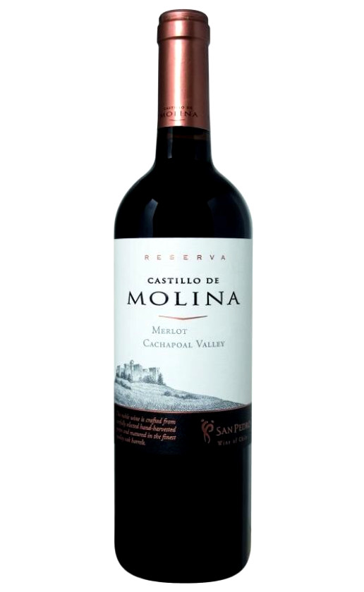 Wine Castillo De Molina Merlot Reserva 2011