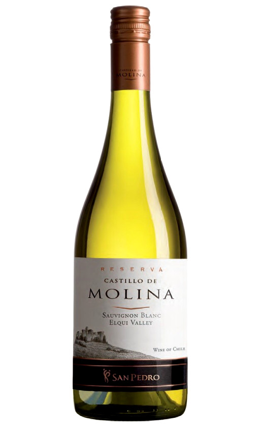 Wine Castillo De Molina Sauvignon Blanc Reserva Elqui Valley 2017