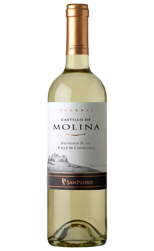 Wine Castillo De Molina Sauvignon Blanc Reserva Valle De Casablanca 2014