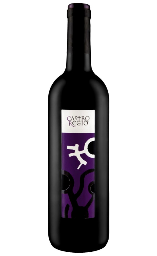 Вино Castro Regio Red Dry