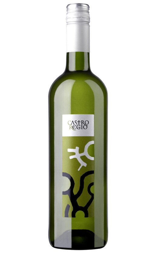 Wine Castro Regio White Dry