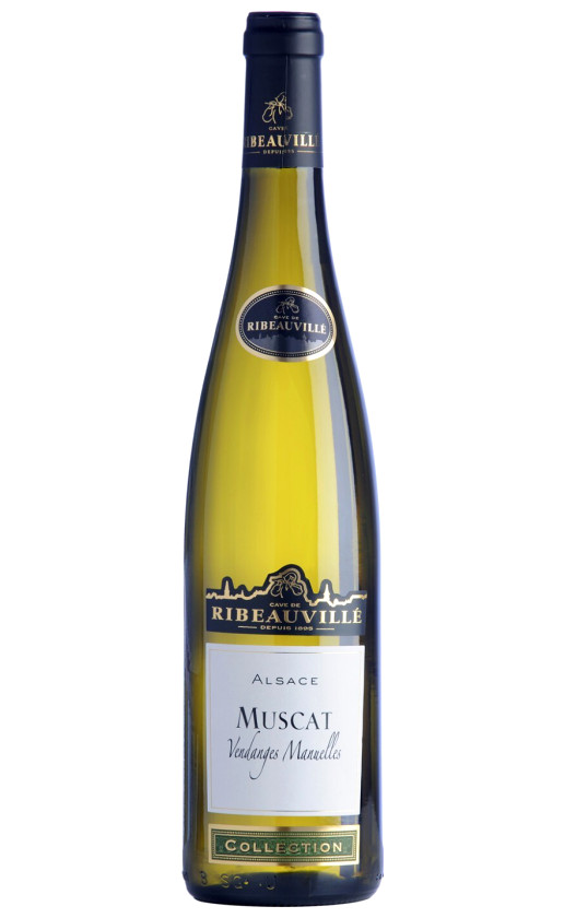 Wine Cave De Ribeauville Muscat Vendanges Manuelles Alsace 2018