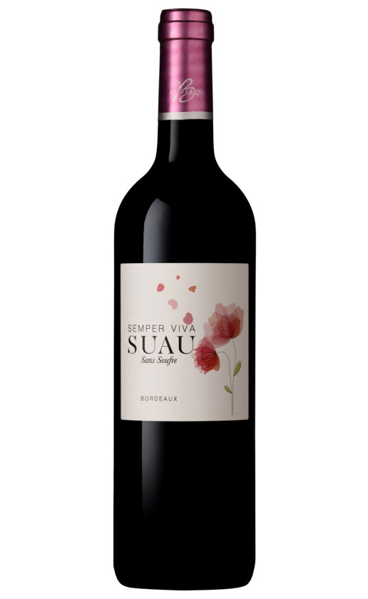 Wine Chateau Suau Semper Viva Bordeaux 2016