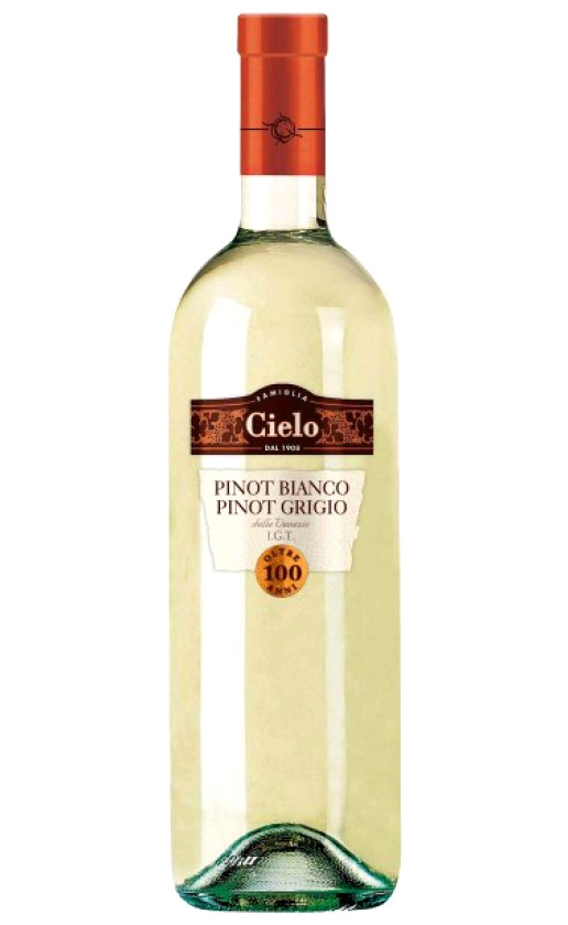 Wine Cielo E Terra Pinot Bianco E Pinot Grigio Delle Venezie 2010