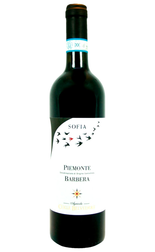 Wine Colle Belvedere Sofia Barbera Piemonte 2019