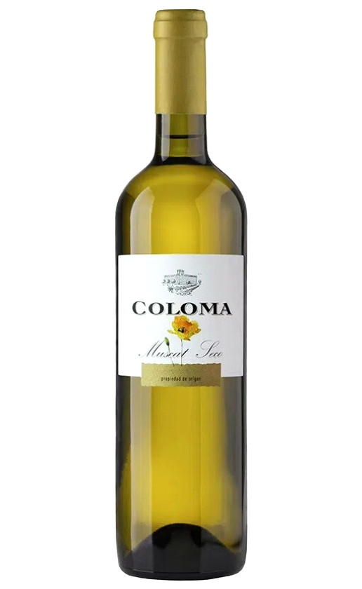 Wine Coloma Muscat Blanco Joven