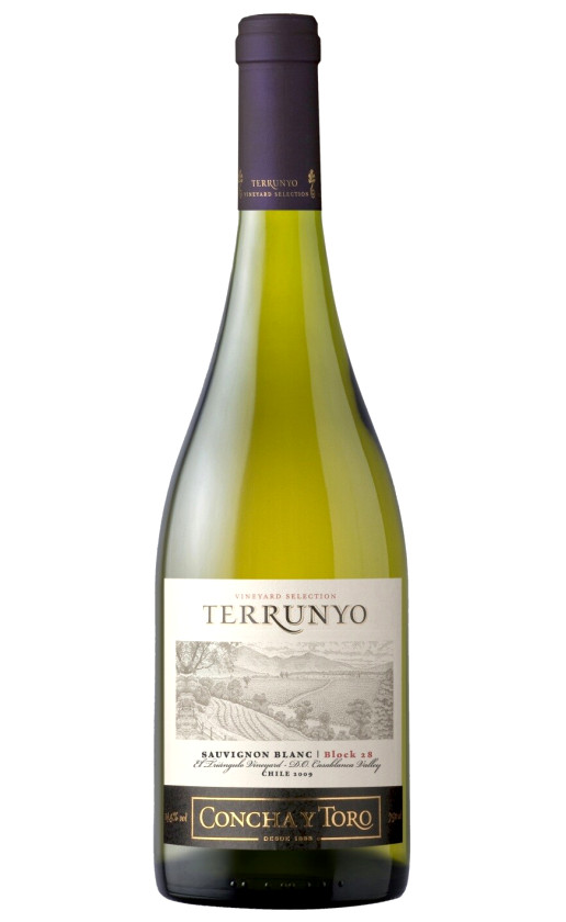 Вино Concha y Toro Terrunyo Sauvignon Blanc