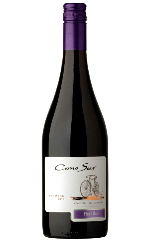 Вино Cono Sur Pinot Noir Rapel Valley 2010