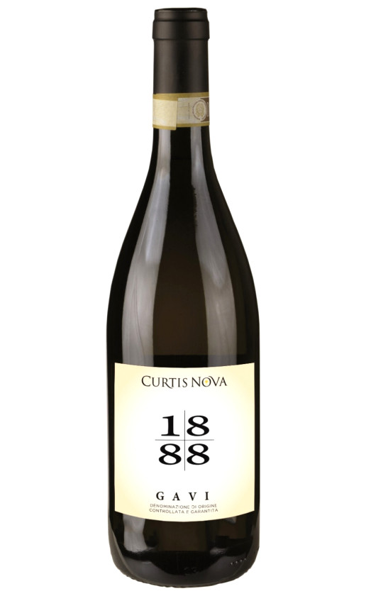 Wine Curtis Nova 1888 Gavi 2020