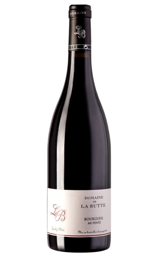 Вино Domaine de la Butte Mi-Pente Bourgueil 2017