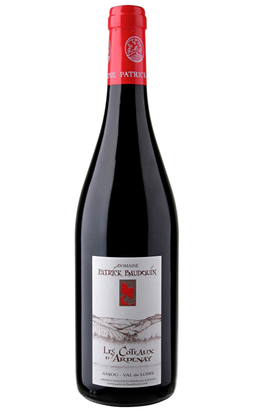 Wine Domaine Patrick Baudouin Les Coteaux Dardenay Anjou 2015