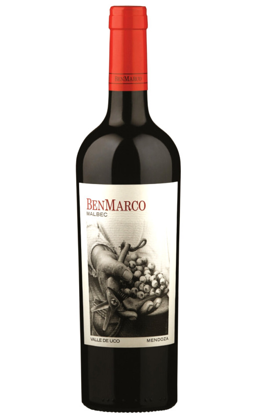 Вино Dominio del Plata BenMarco Malbec 2019