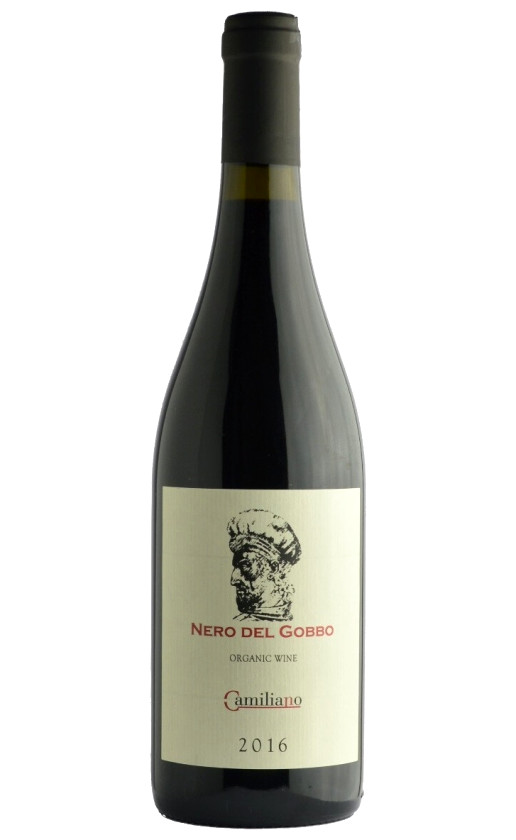Wine Fattoria Camigliano Nero Del Gobbo Colline Lucchesi 2016