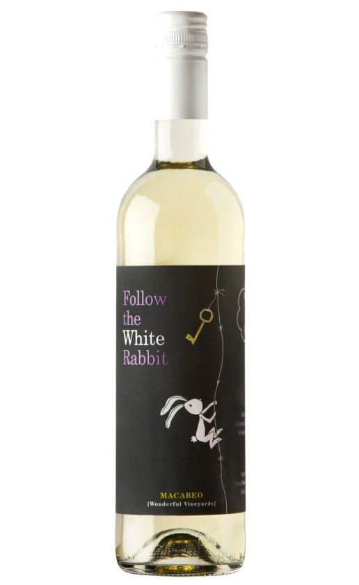 Wine Follow The White Rabbit Macabeo Calatayud 2019