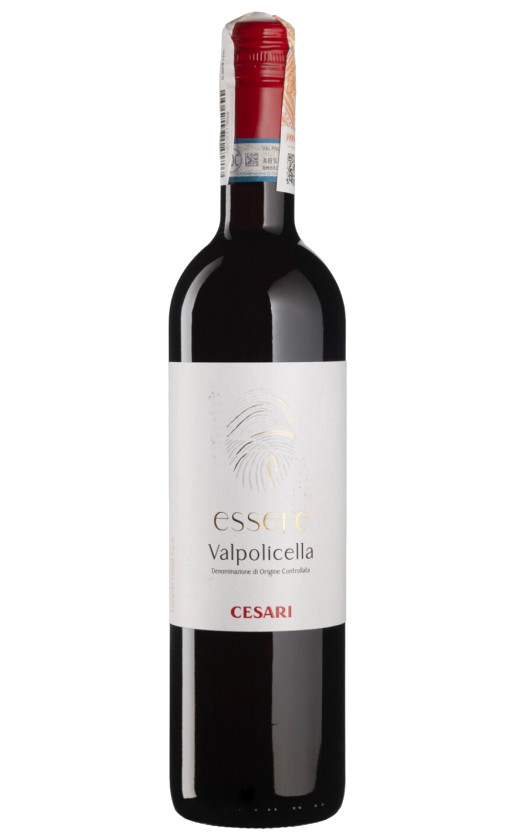 Wine Gerardo Cesari Essere Valpolicella