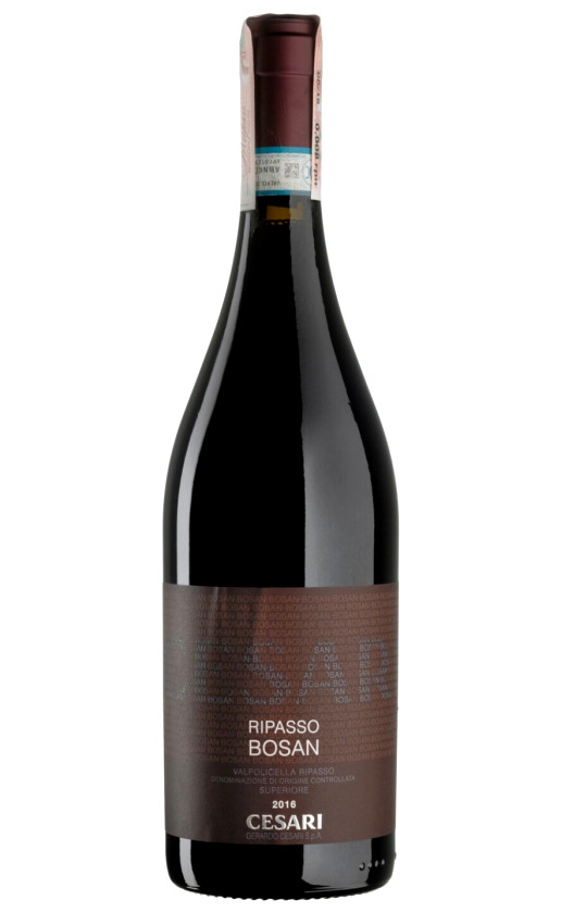 Вино Gerardo Cesari Ripasso Bosan Valpolicella Ripasso Superiore 2016