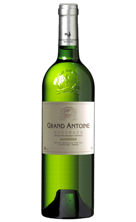 Wine Grand Antoine Sauvignon Bordeaux 2018