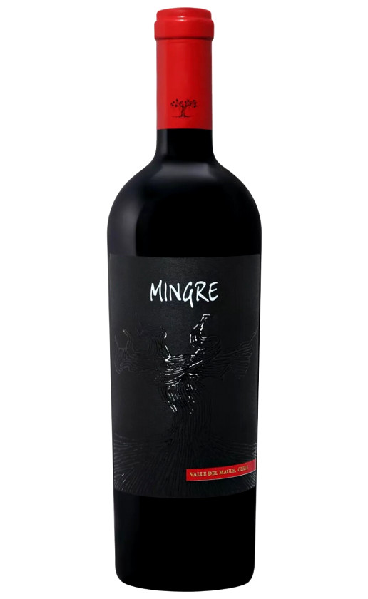 Wine Jbouchon Mingre Premium Assemblage Maule Valley 2017