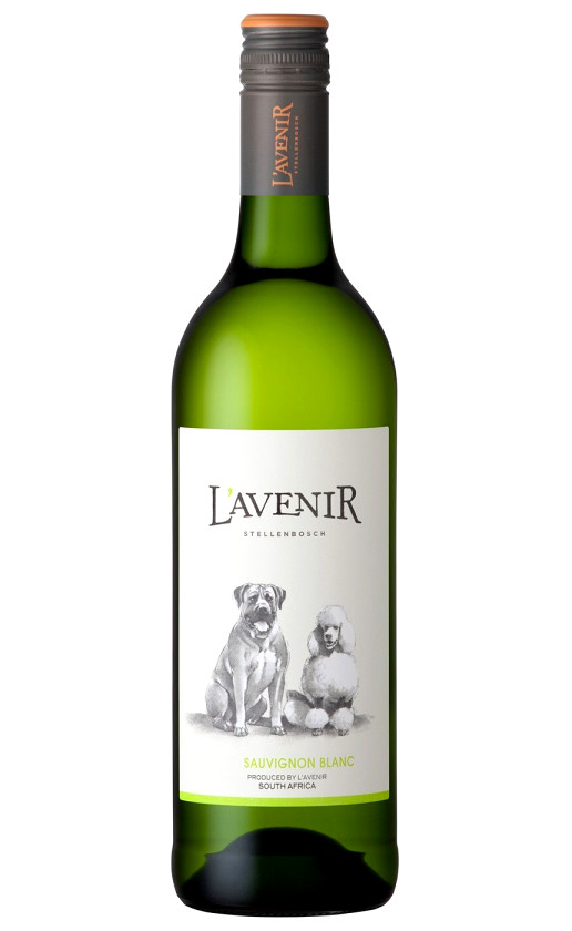 Wine Lavenir Far Near Sauvignon Blanc 2017