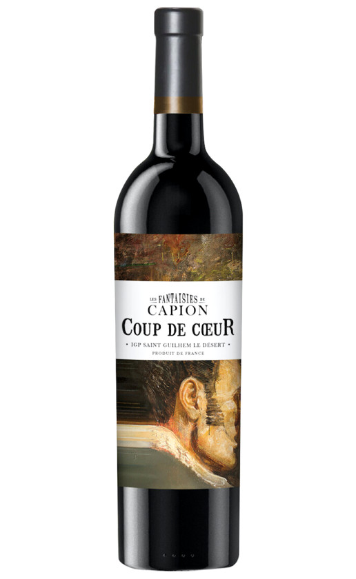 Wine Les Fantaisies De Capion Coup De Coeur Rouge Saint Guilhem Le Desert 2016
