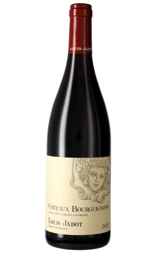Wine Louis Jadot Coteaux Bourguignons Rouge 2020